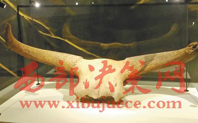 1497843252115927.jpg 3.jpg