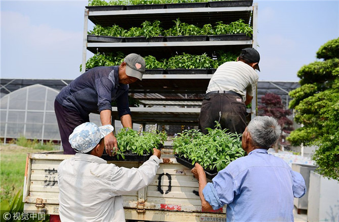 數(shù)字經(jīng)濟(jì)已經(jīng)成為我國(guó)經(jīng)濟(jì)社會(huì)更好發(fā)展的重要推動(dòng)力，也為我國(guó)鄉(xiāng)村發(fā)展提供了新的歷史機(jī)遇。（圖片來源：視覺中國(guó)）