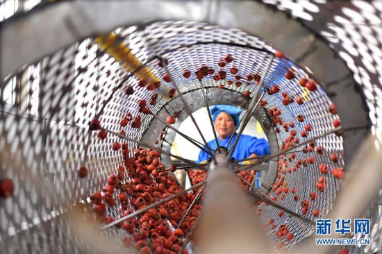 #(經(jīng)濟)(2)山東沂源:家門口就業(yè)助力脫貧增收