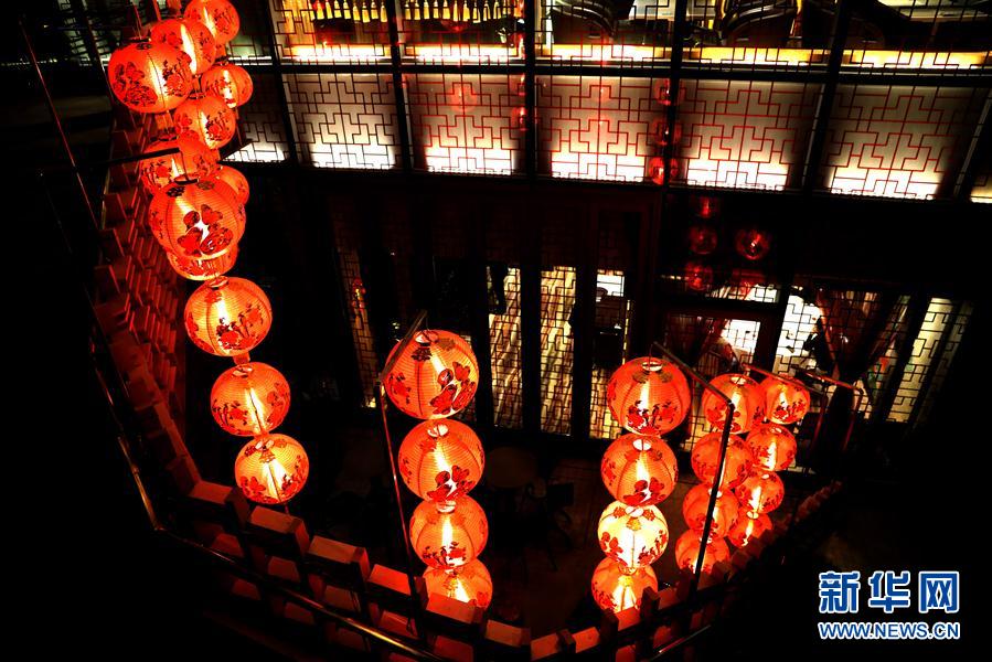 （社會(huì)）（4）小豬快來