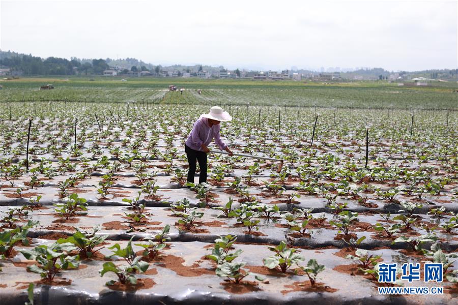 (新華全媒頭條·走向我們的小康生活·決戰(zhàn)決勝脫貧攻堅·圖文互動)(3)千年之渴今朝解——貴州貧困群眾實現“吃水不愁”