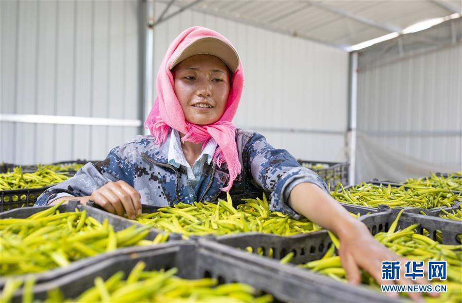 (新華全媒頭條·百萬大移民·圖文互動(dòng))(9)從大山深處到大河之畔——寧夏持續(xù)移民百萬“拔窮根”啟示