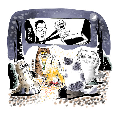 ▲物理學(xué)家薛定諤曾用一只貓比喻量子疊加。圖片來源：視覺中國