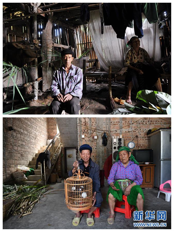 (新華全媒頭條·圖文互動)(4)木棉花開紅勝火——廣西千里邊境線脫貧紀(jì)實