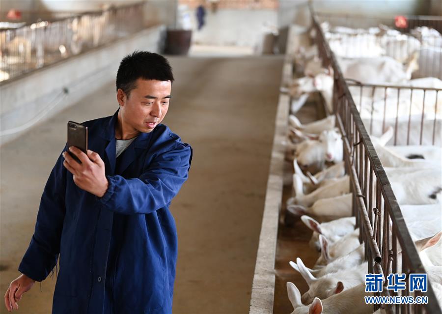 (新華全媒頭條·五中全會(huì)精神在基層·圖文互動(dòng))(12)奮發(fā)新青年 逐夢(mèng)新征程——各地青年學(xué)習(xí)貫徹落實(shí)五中全會(huì)精神觀察