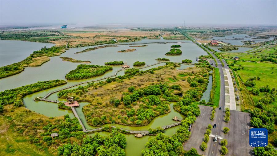 (新華全媒頭條·圖文互動)(3)“讓我們一起向未來”——聆聽習近平主席2022年新年賀詞