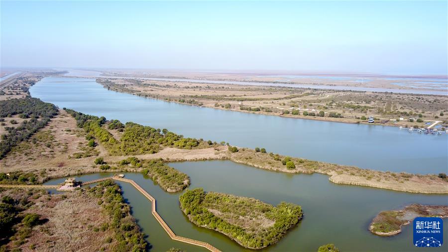 (新華全媒頭條·圖文互動(dòng))(4)鯤鵬展翅九萬里——以習(xí)近平同志為核心的黨中央引領(lǐng)中華民族邁向偉大復(fù)興述評