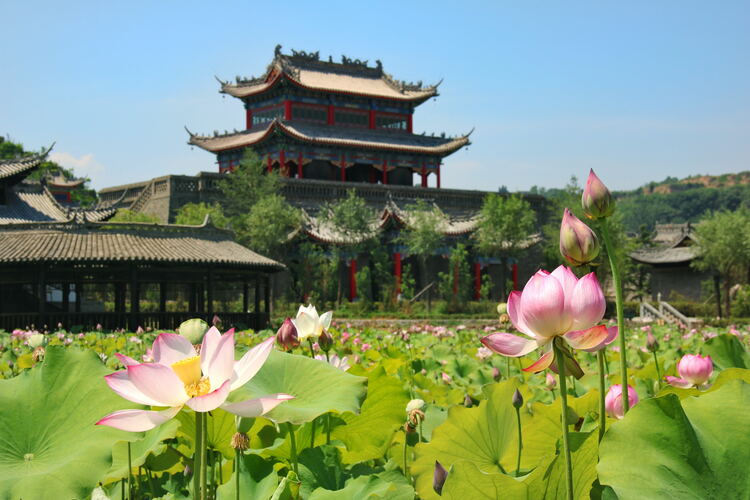 【云游渭南】心中若有桃花源，此處便是水云間！待疫情散盡，一起來渭南桃花源賞美景、觀民俗、享美食_fororder_2